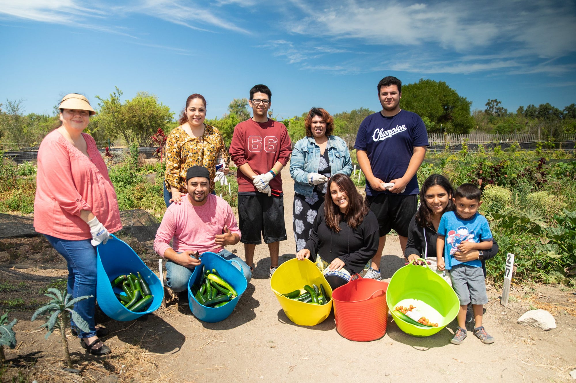 Farm to Families Program