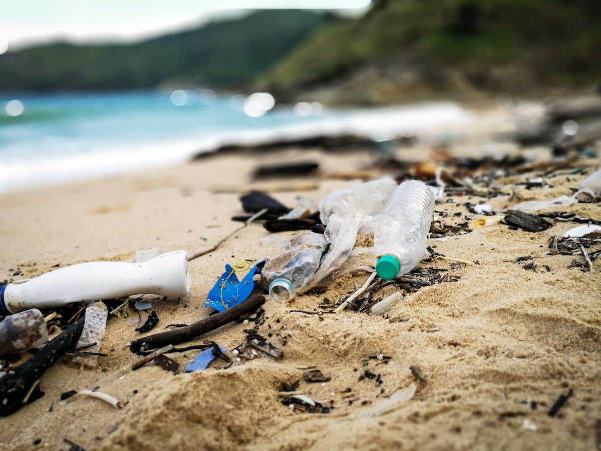 10 Ways you can Help Save Your Local Beaches This Summer