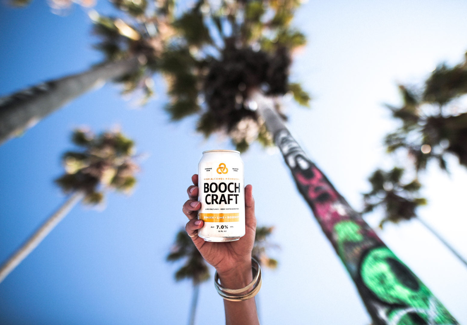 Booch To-Go: North County San Diego