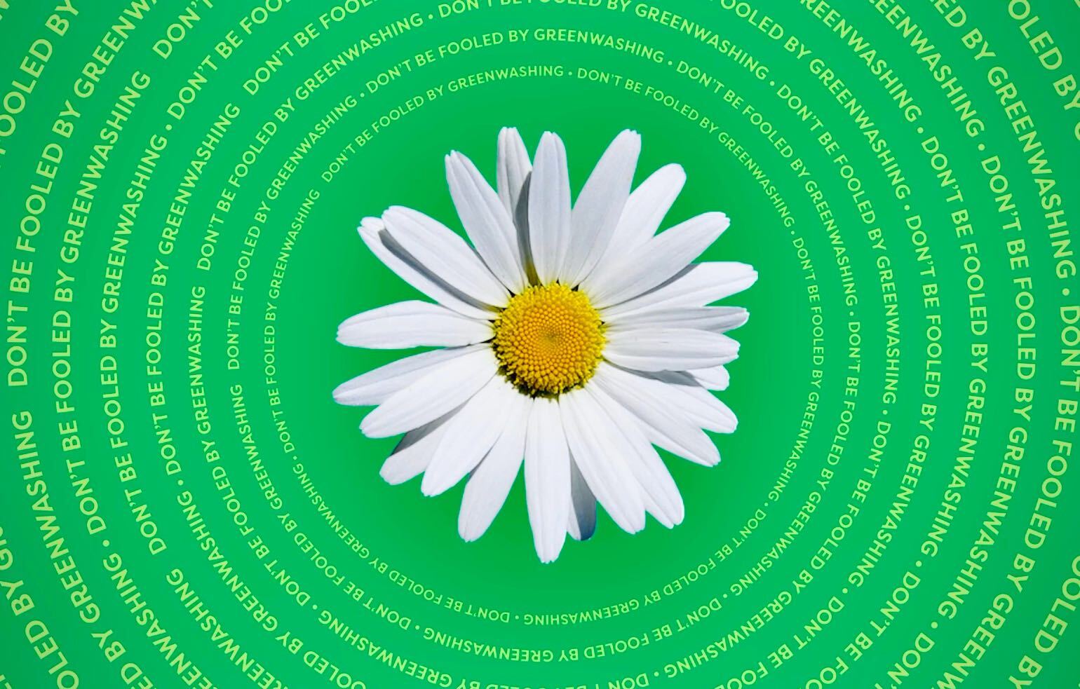 Don't be Fooled by Greenwashing — Here's What to Know