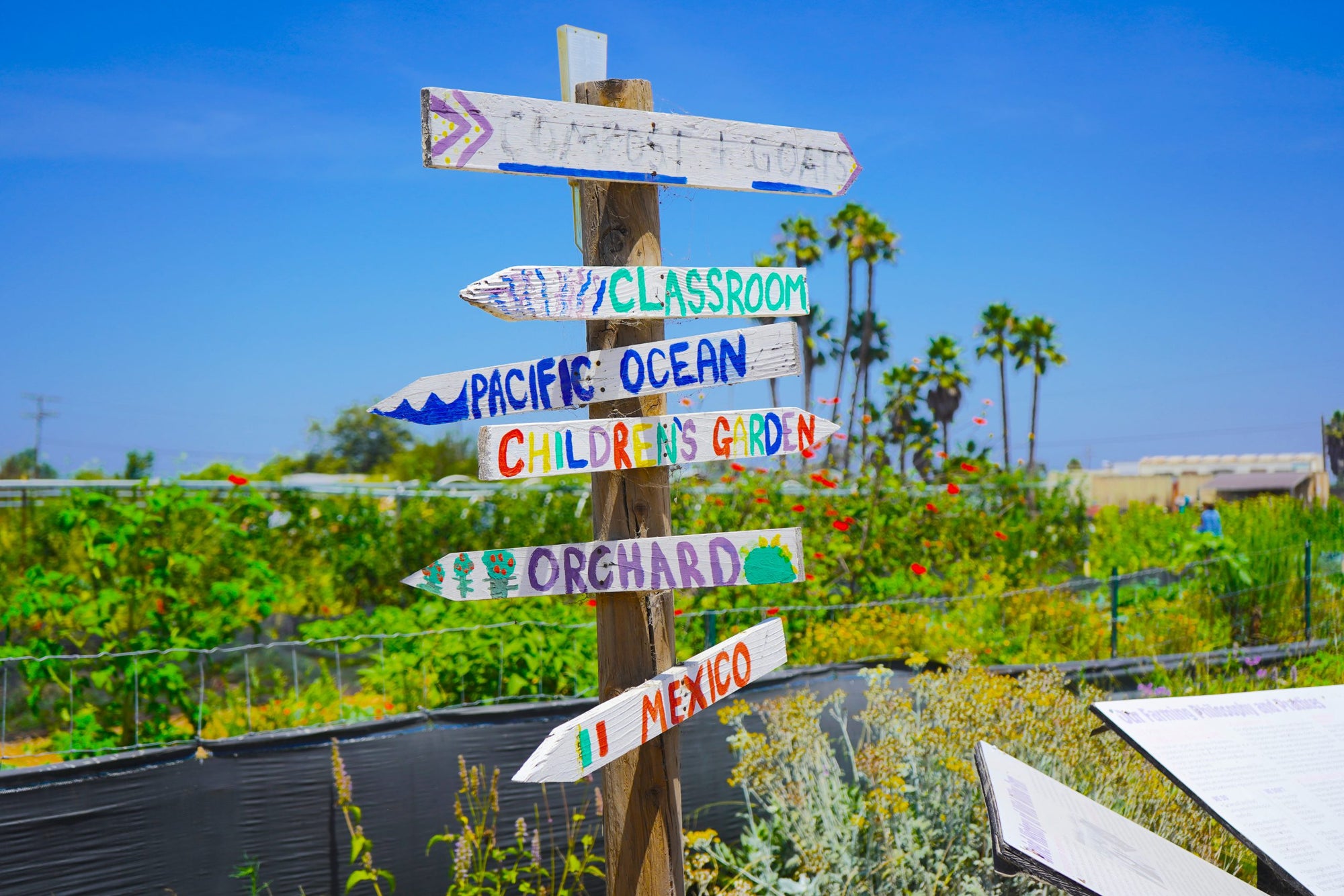 Weekend Fun at Wild Willow Farm