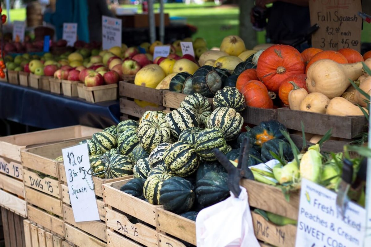 Fall Produce Guide: Our Favorites This Season