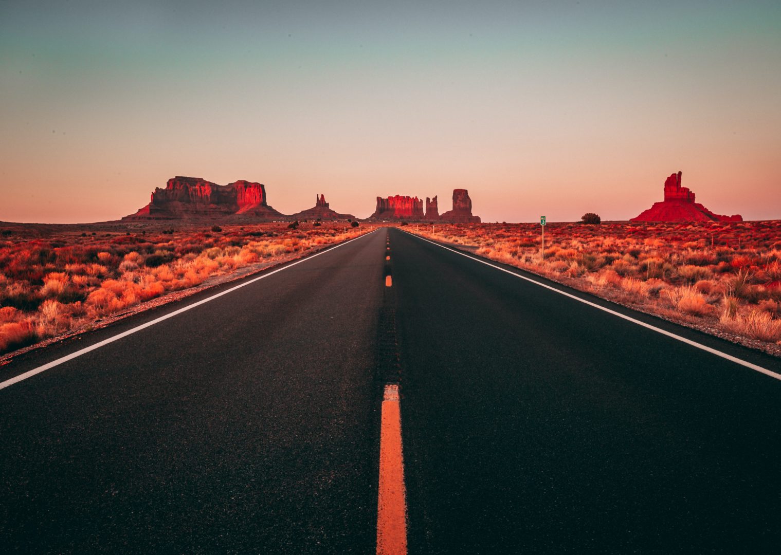 Booch To-Go: Arizona