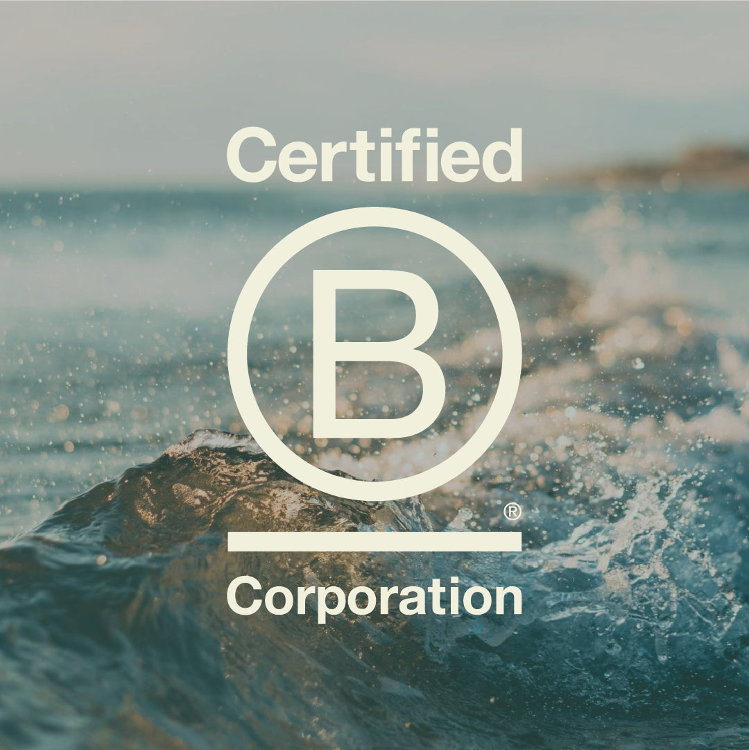 Sparkling on the Path to Sustainability: Joining the B Corp Revolution