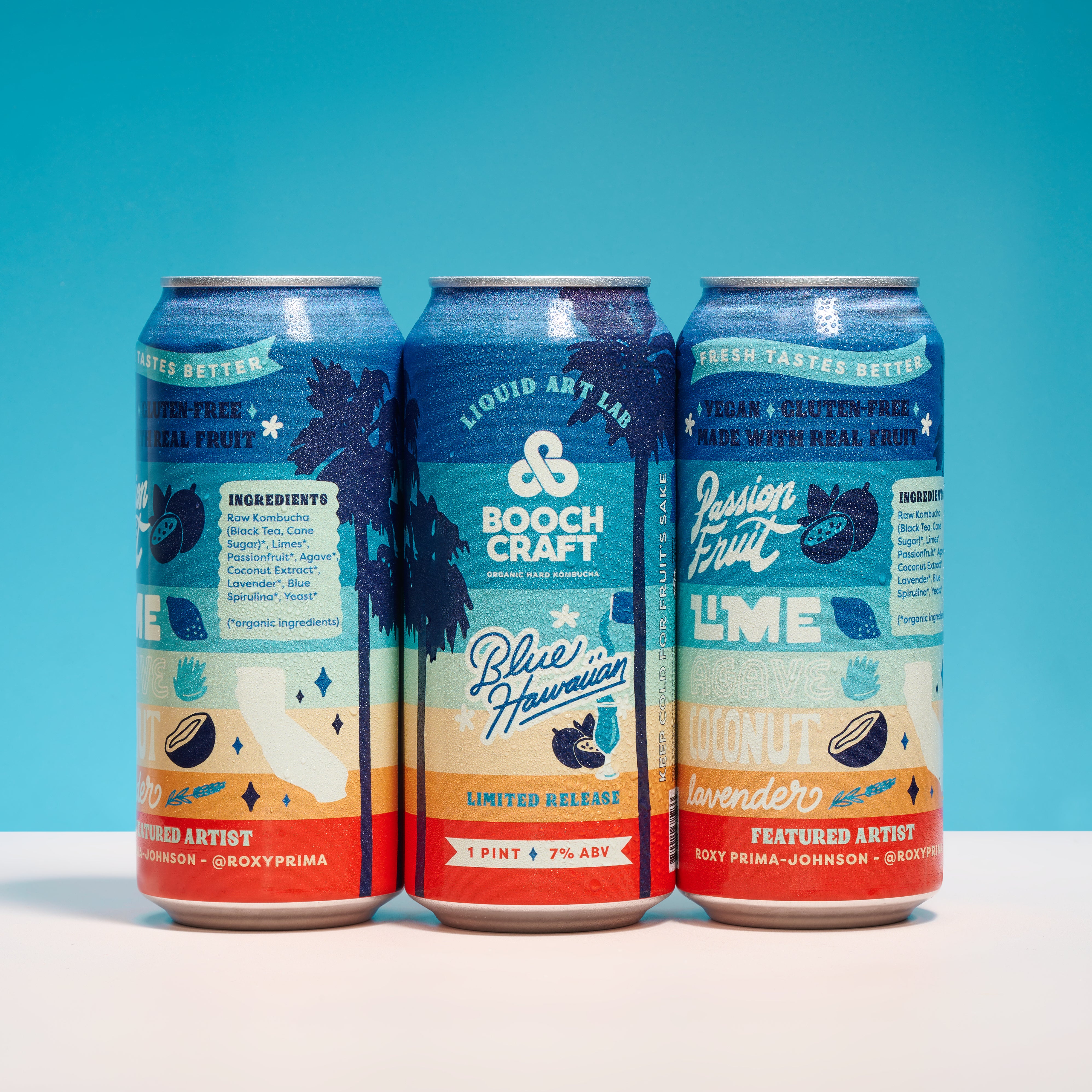 Handcrafted Boocha Boochcraft Organic Hard Kombucha | Crafted with Real Fruit