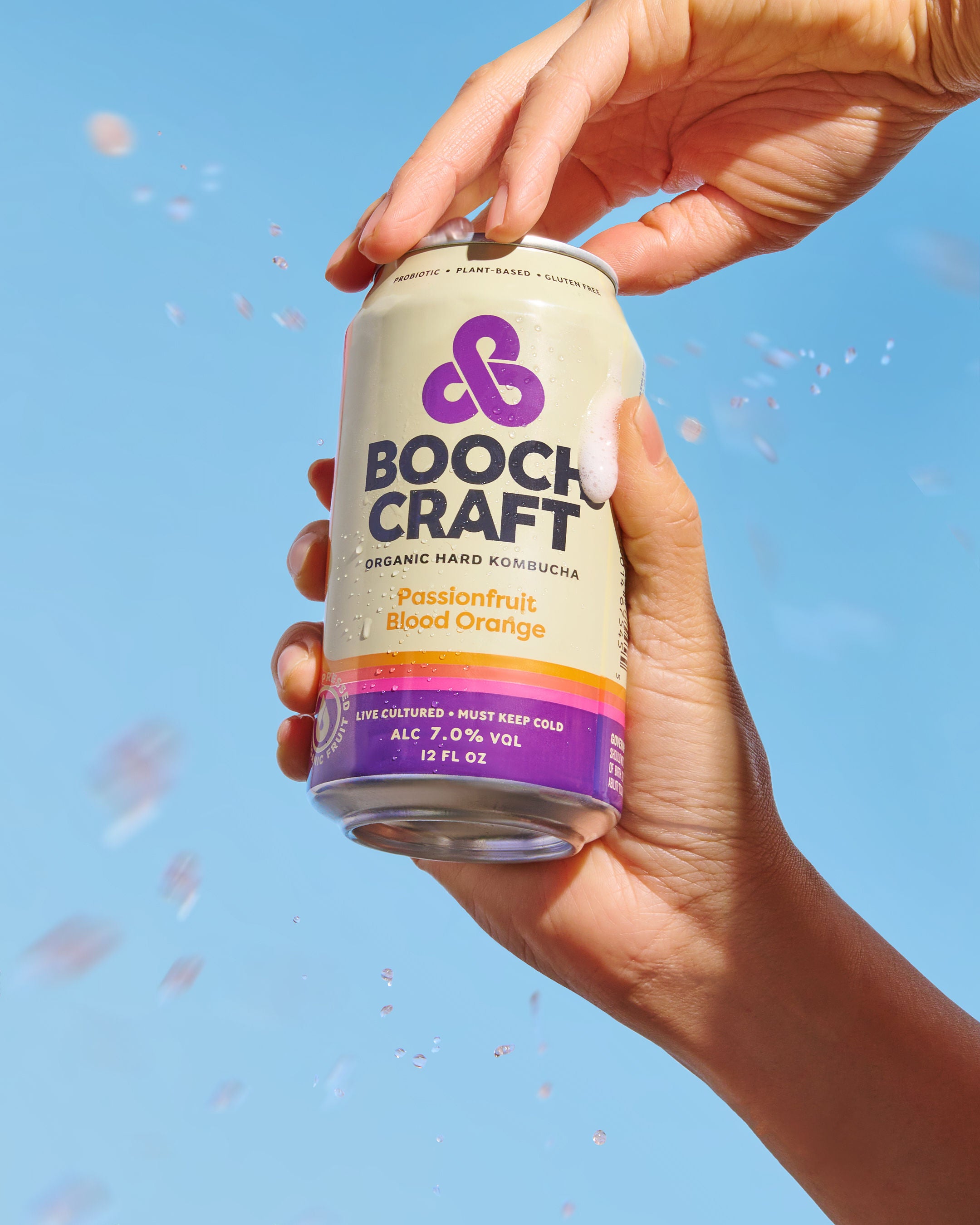 Boochcraft Organic Hard Kombucha | Crafted with Real Fruit